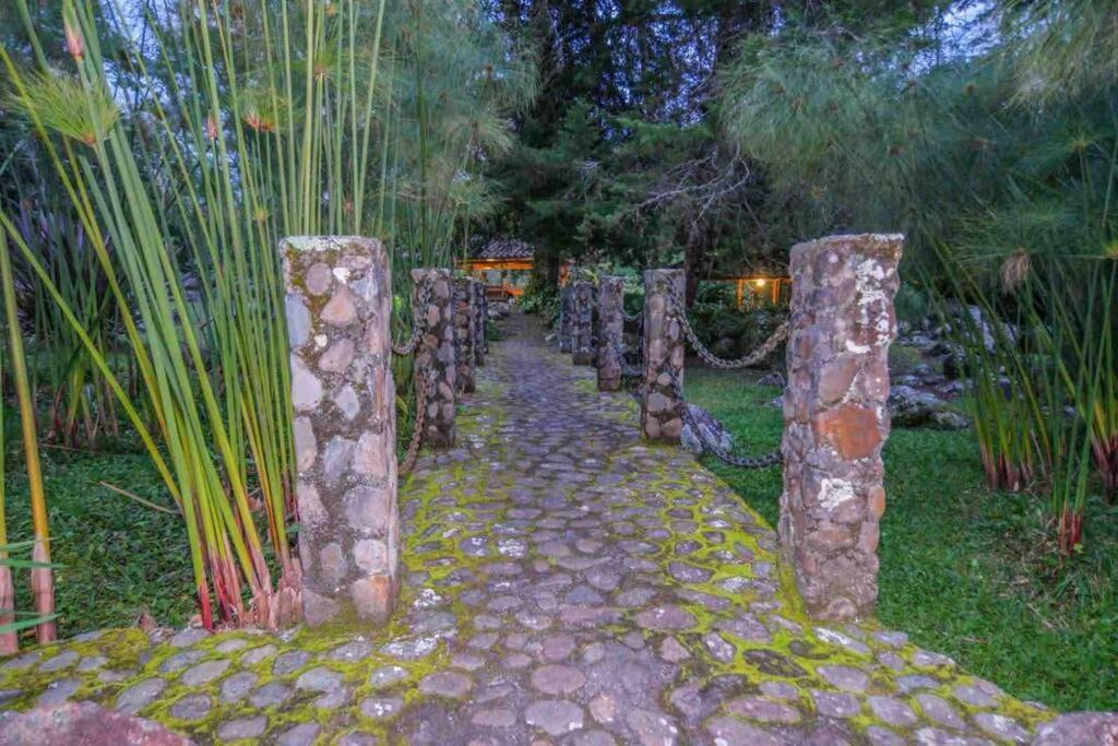 Finca Punta De Piedra Salento, Quindio 빌라 외부 사진