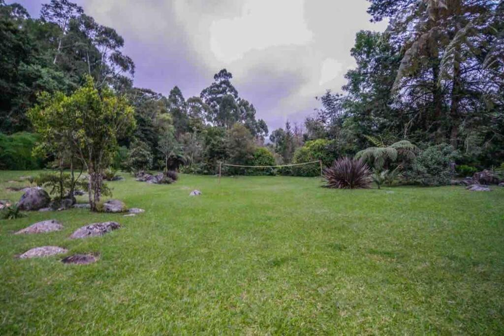 Finca Punta De Piedra Salento, Quindio 빌라 외부 사진