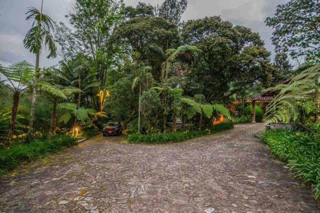 Finca Punta De Piedra Salento, Quindio 빌라 외부 사진